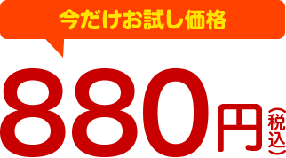 通常2420円 今だけお試し価格 880円（税込）